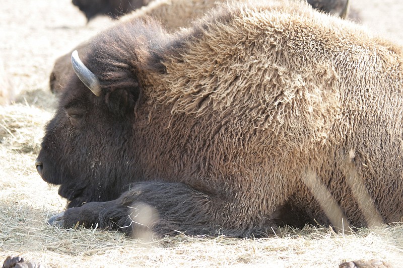 Fotoclubje Blijdorp 2008-168.jpg
